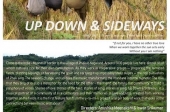 Screening of Up Down & Sideways and Meeting with the Directors 