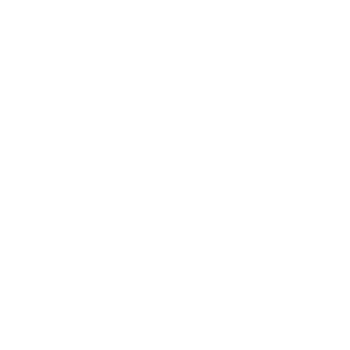 XHS